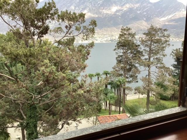 Wonderful Lake Front Appartment Near Bellagio Limonta Eksteriør billede