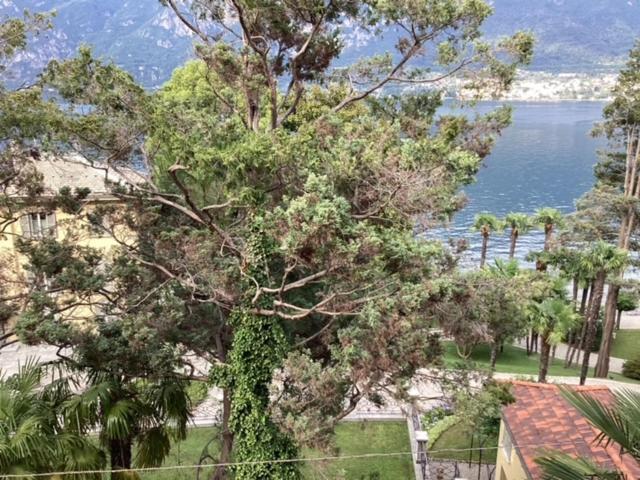 Wonderful Lake Front Appartment Near Bellagio Limonta Eksteriør billede